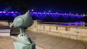 World Polio Day 24th October